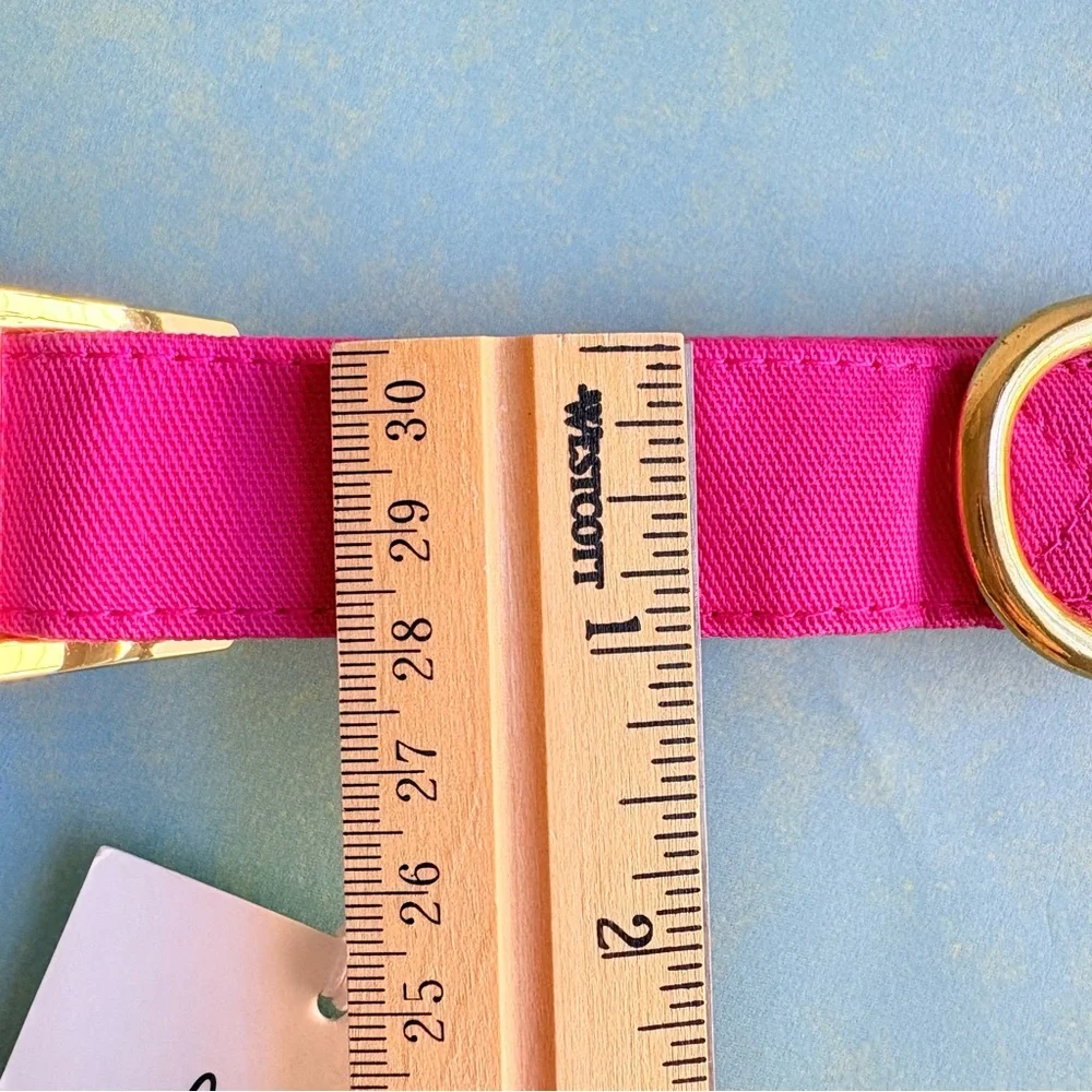 NEW The Foggy Dog Hot Pink Dog Collar Large Gold Hardware Spring Pet Gift NWT - Picture 10 of 12